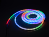 EUROLITE LED Pixel Neon Flex 12V RGB 5m with IR Set#3