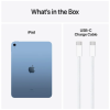 Apple iPad A16 11 tum Wi-Fi 256 GB - Blå#2